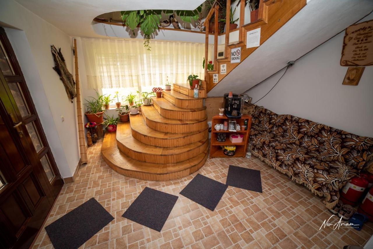 Hotel Casa Binu à Arieşeni Extérieur photo