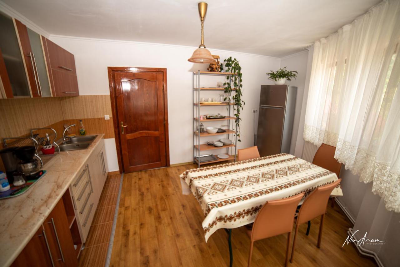 Hotel Casa Binu à Arieşeni Extérieur photo
