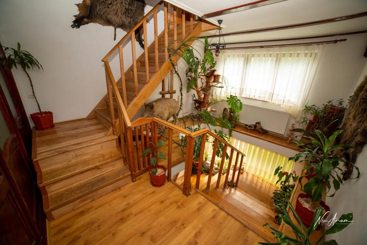Hotel Casa Binu à Arieşeni Extérieur photo