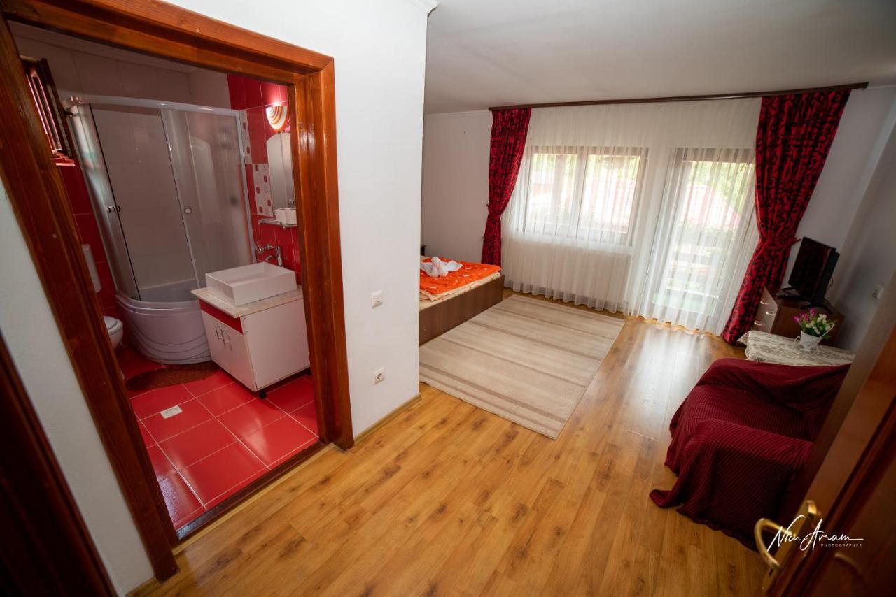 Hotel Casa Binu à Arieşeni Extérieur photo