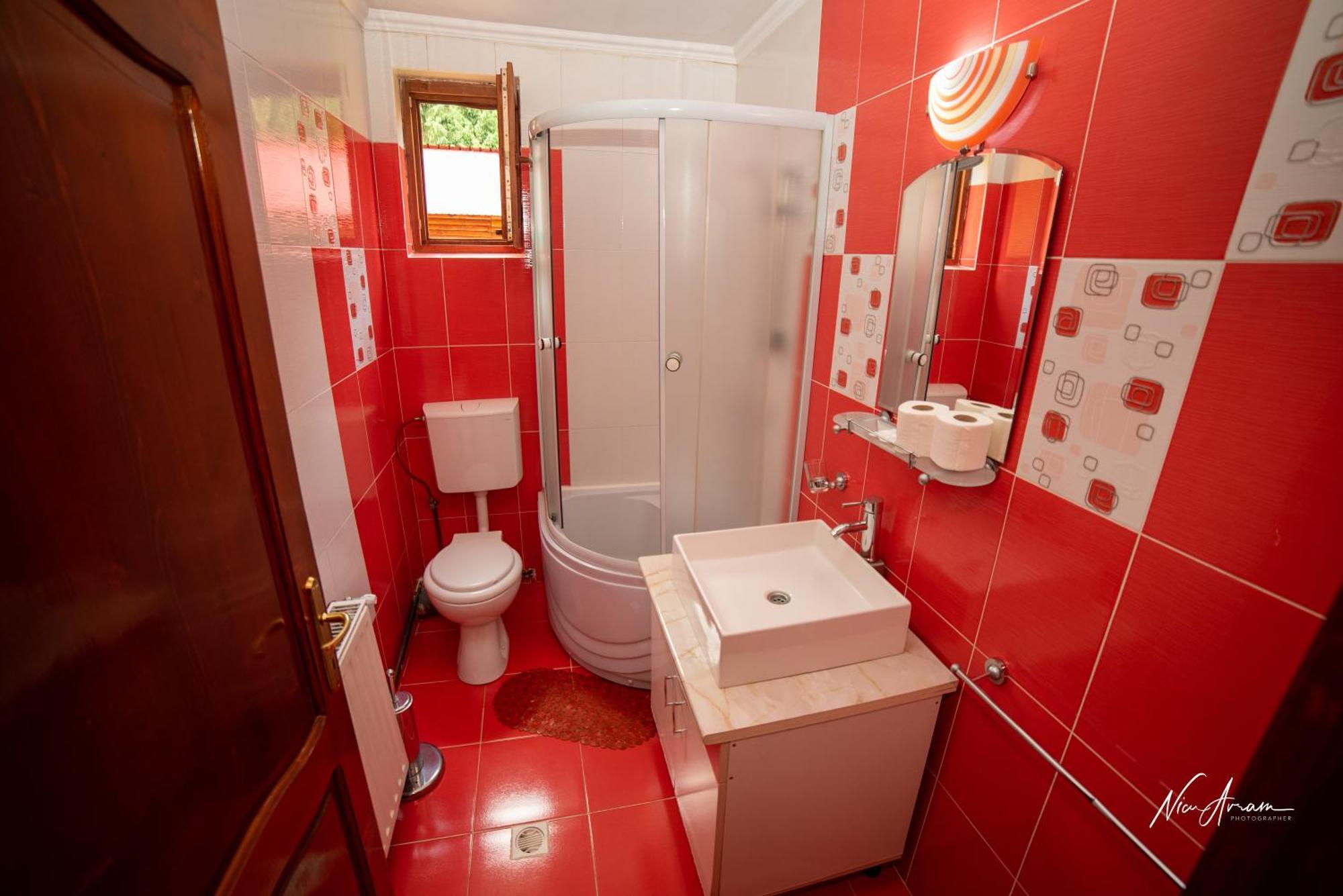 Hotel Casa Binu à Arieşeni Extérieur photo