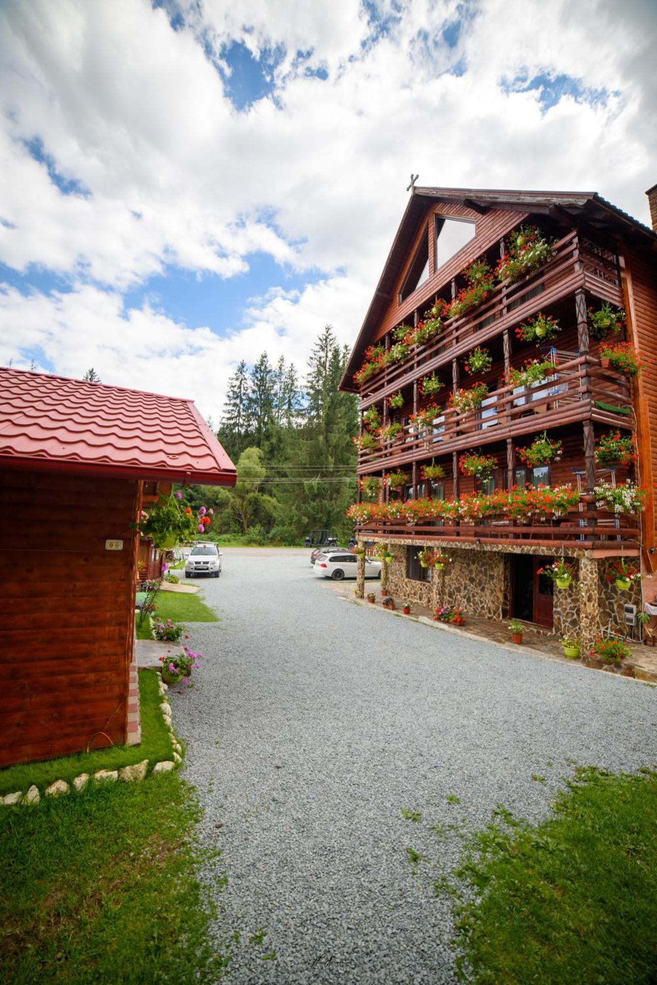 Hotel Casa Binu à Arieşeni Extérieur photo